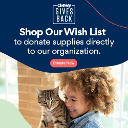 Chewy gives back: Shop our wish list to donate supplies directly to our organization